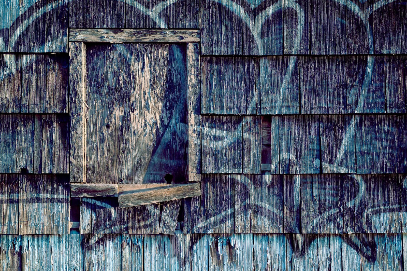 BOARDING UP COLCHESTER